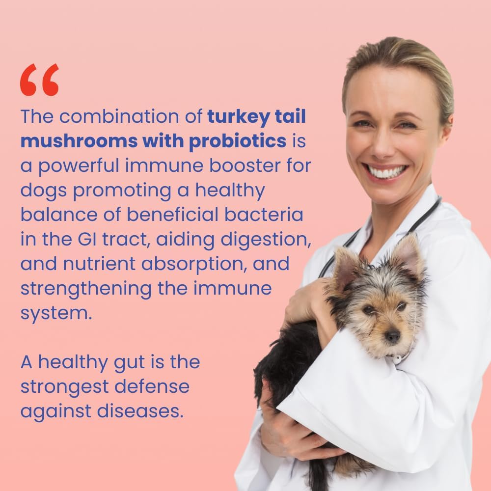 Turkey Tail Mushroom Wellness Powder™