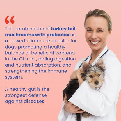 Turkey Tail Mushroom Wellness Powder™