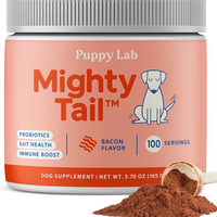 Turkey Tail Mushroom Wellness Powder™